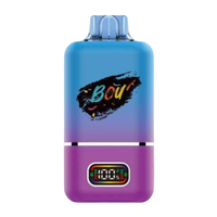 BOU GYRO B50000 Mr Blue + Blueberry Sour Raspberry