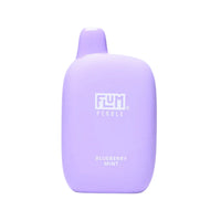 FLUM PEBBLE 6000 BLUEBERRY MINT味