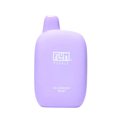 FLUM PEBBLE 6000 BLUEBERRY MINT味