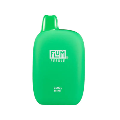 FLUM PEBBLE 6000 COOL MINT味