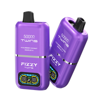 FIZZY TWINS Blueberry Coconut & Grape Ice ノンニコチン