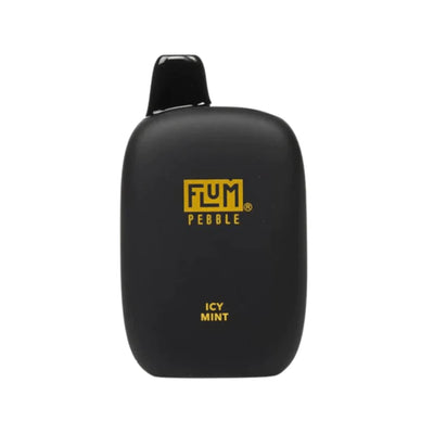 FLUM PEBBLE 6000 ICY MINT味