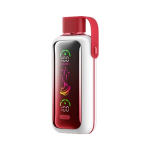 VOZOL STAR 20K WATERMELON BLUEBERRY SLUSH