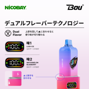 BOU GYRO 50K デュアルフレーバーテクノロジー