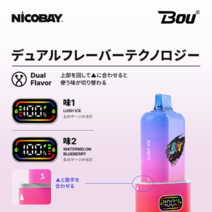BOU GYRO 50K デュアルフレーバーテクノロジー
