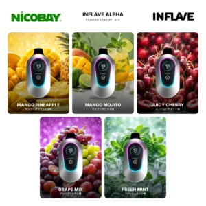 INFLAVE ALPHA 25K フレーバー 2