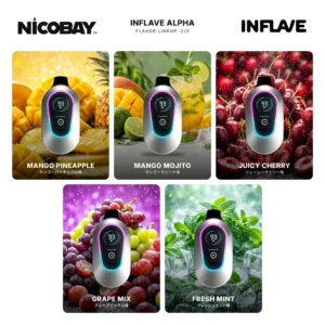 INFLAVE ALPHA 25K フレーバー 2