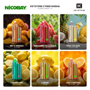KEYSTONE CYBER SHISHA 30K フレーバー 1