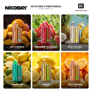 KEYSTONE CYBER SHISHA 30K フレーバー 1