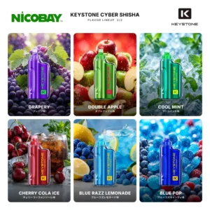 KEYSTONE CYBER SHISHA 30K フレーバー 2