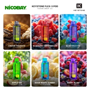 KEYSTONE FLEX-3 25K カートリッジ / POD フレーバー 2