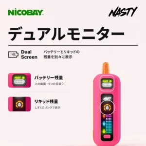 NASTY BOLT50K デュアルモニター