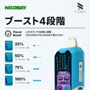 RIFBAR MixPRO 40K ブースト4段階