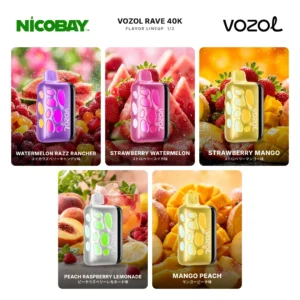 VOZOL RAVE 40K フレーバー 1