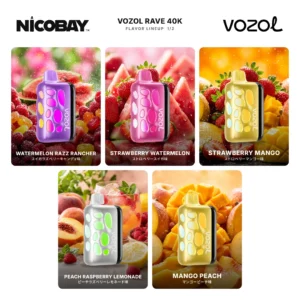 VOZOL RAVE 40K フレーバー 1