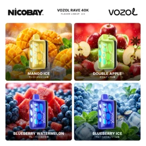 VOZOL RAVE 40K フレーバー 2