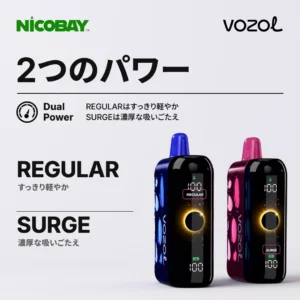 VOZOL RAVE 40K 2つのパワー