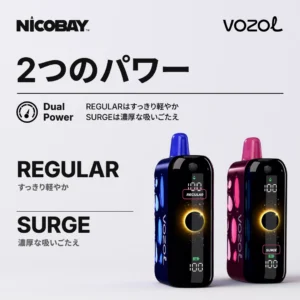 VOZOL RAVE 40K 2つのパワー
