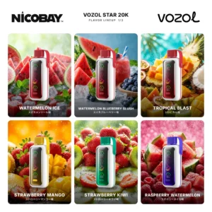 VOZOL STAR 20K フレーバー 1