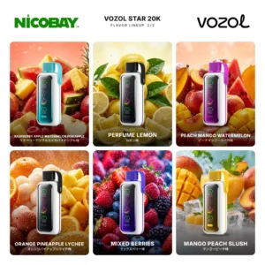 VOZOL STAR 20K フレーバー 2