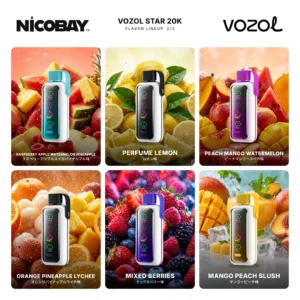 VOZOL STAR 20K フレーバー 2