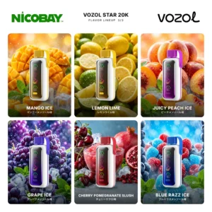 VOZOL STAR 20K フレーバー 3