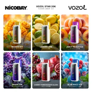 VOZOL STAR 20K フレーバー 3